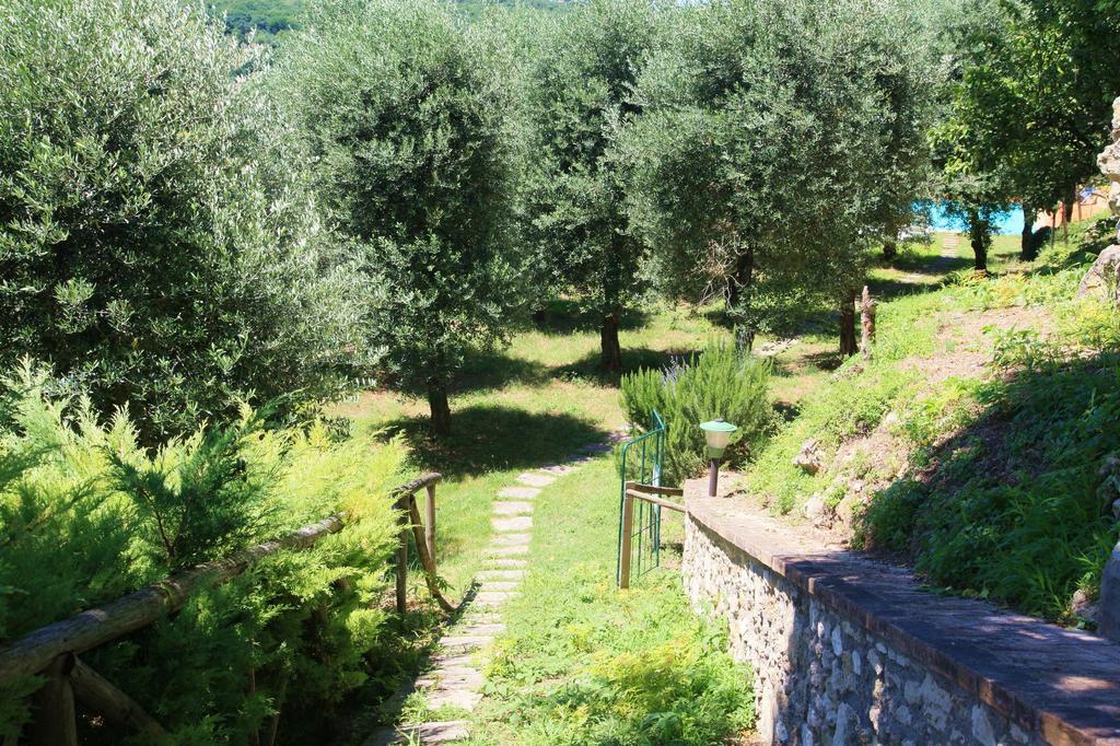 Agriturismo Podere Luchiano Amelia Exterior photo